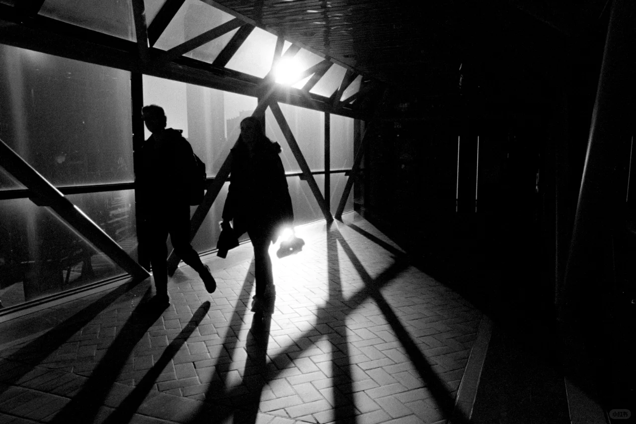 My Black and White Film Photography