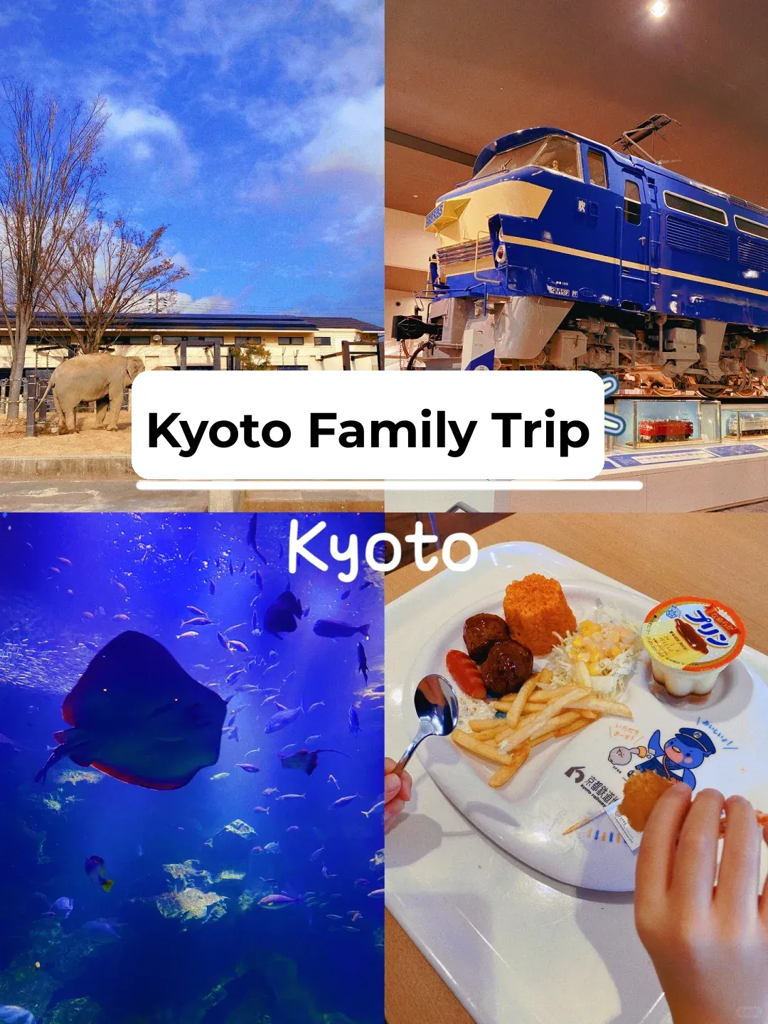 Traveling with a 3-Year-Old | 3 Days, 4 Nights Family Trip in Kyoto