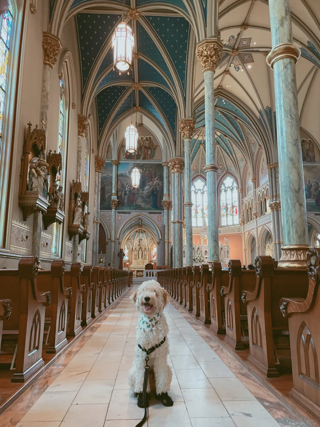 "Three-Day Trip to Savannah, the Historic Garden City of the United States"