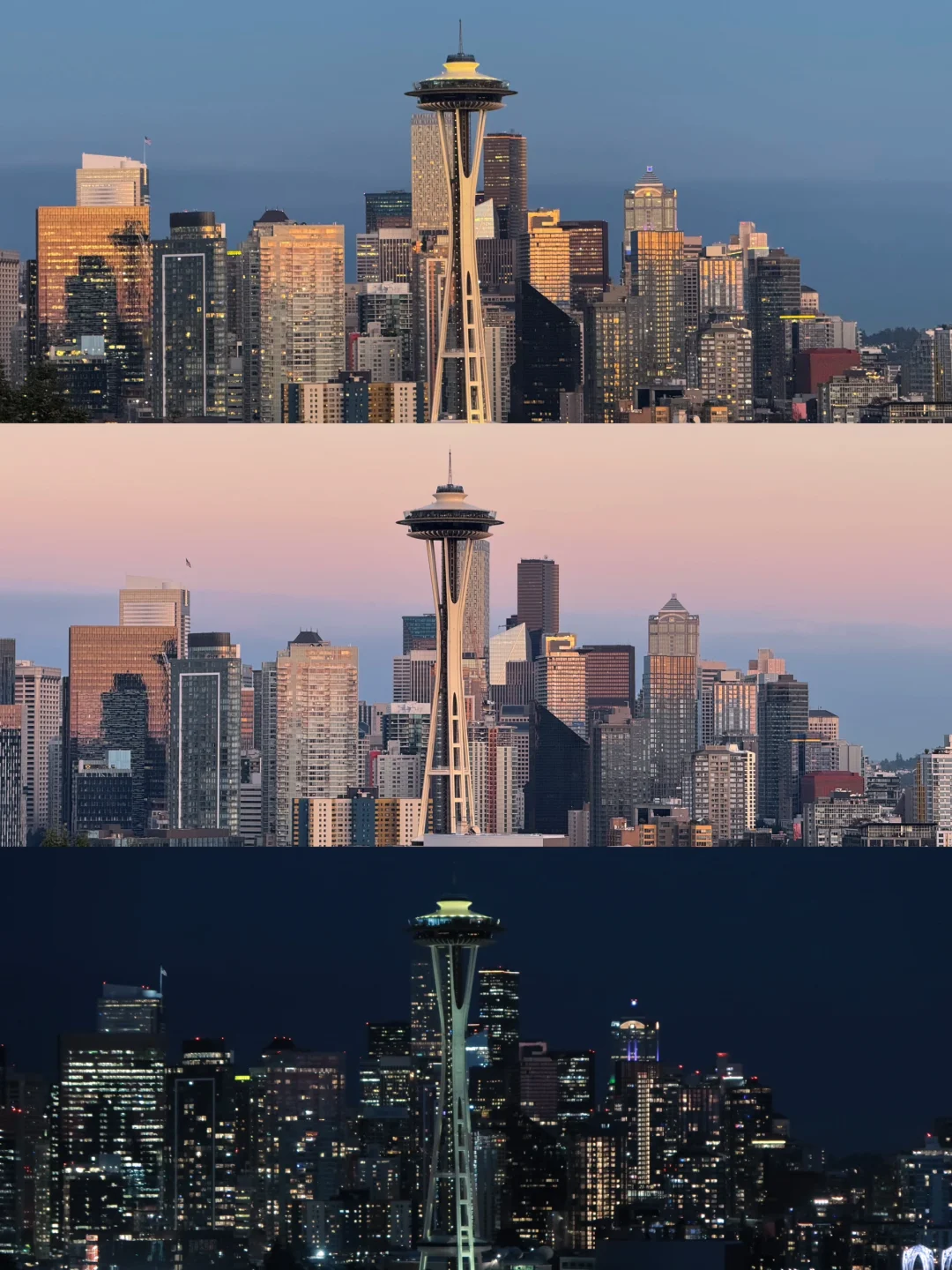 August in Seattle? Perfection!