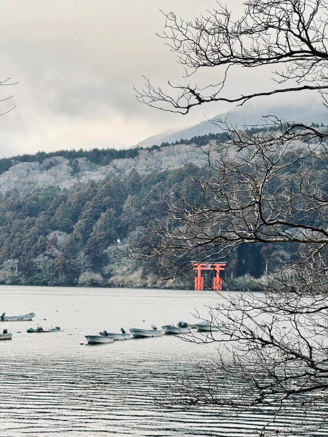 Promise me, don't go to Hakone in winter!!!