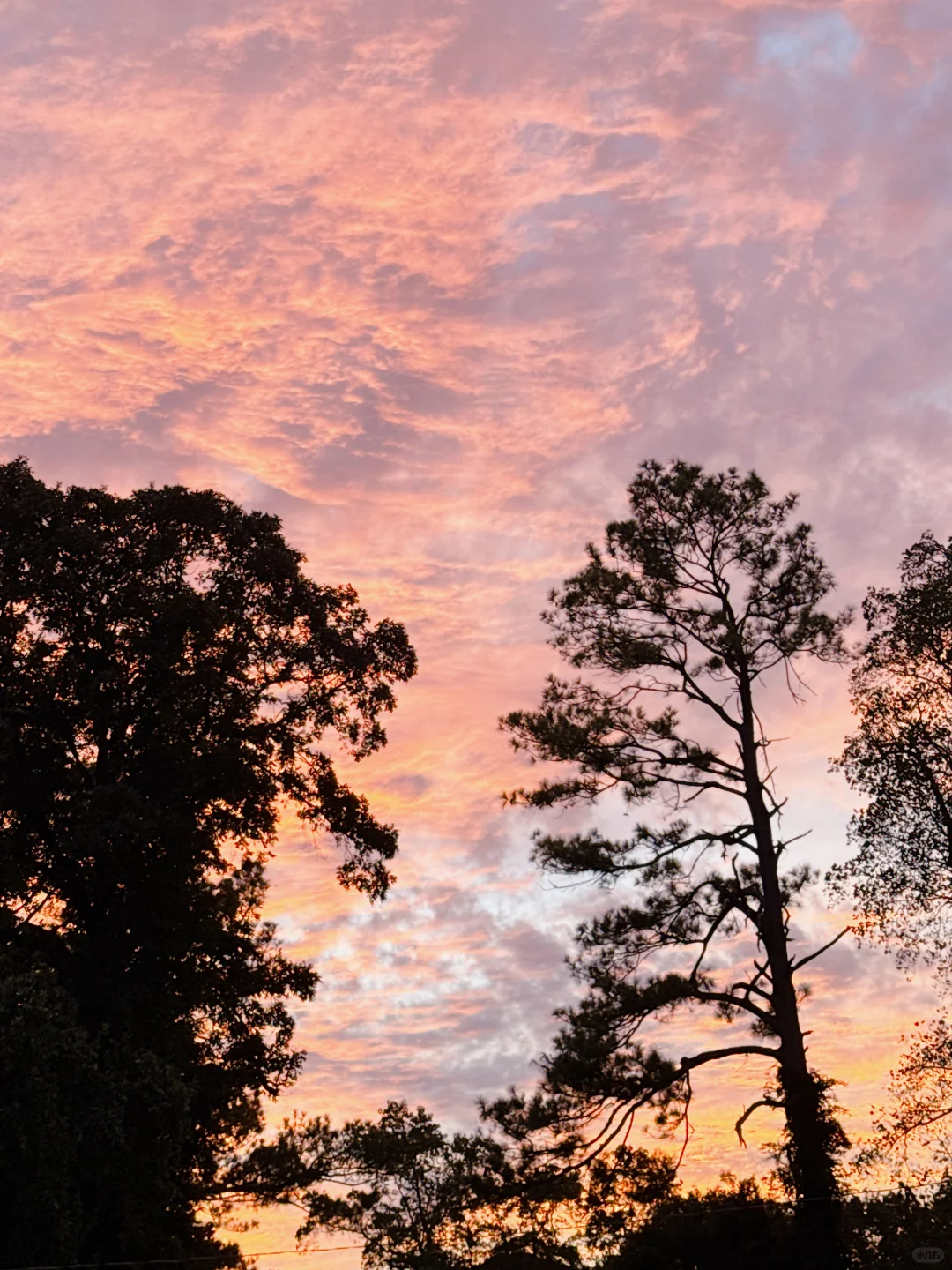 Don't Be Too Enthusiastic, I Might Get Carried Away and Splurge!