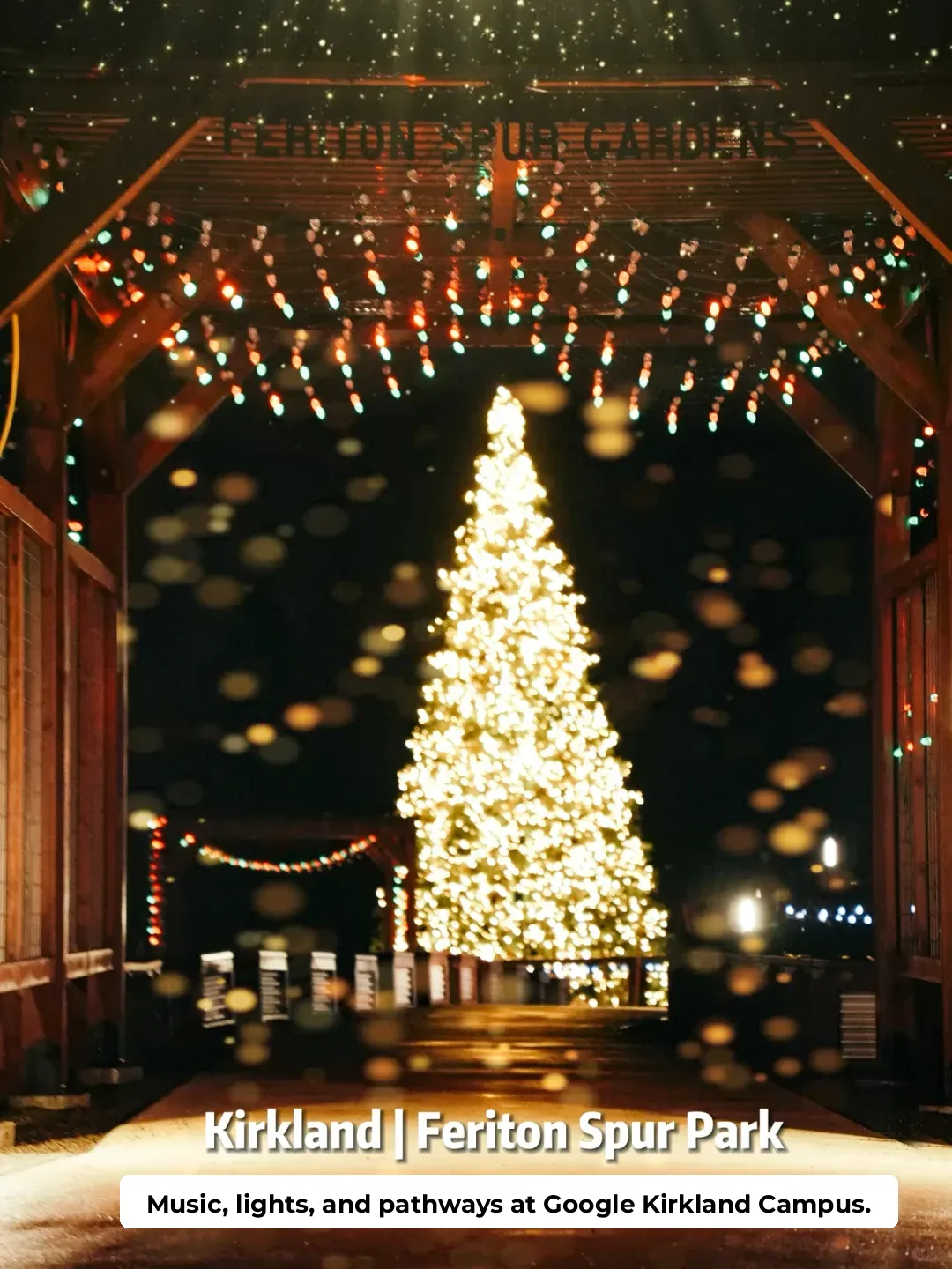 🔥Seattle Kirkland Google Campus Light and Music Show