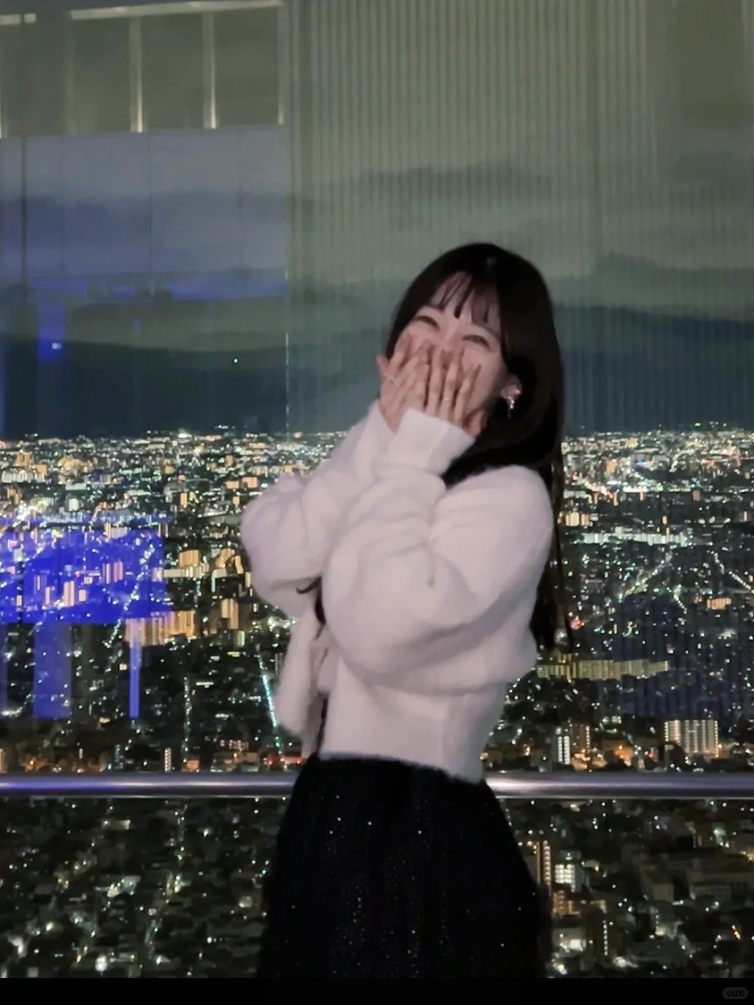 Who hasn't seen the night view of Osaka, Japan?