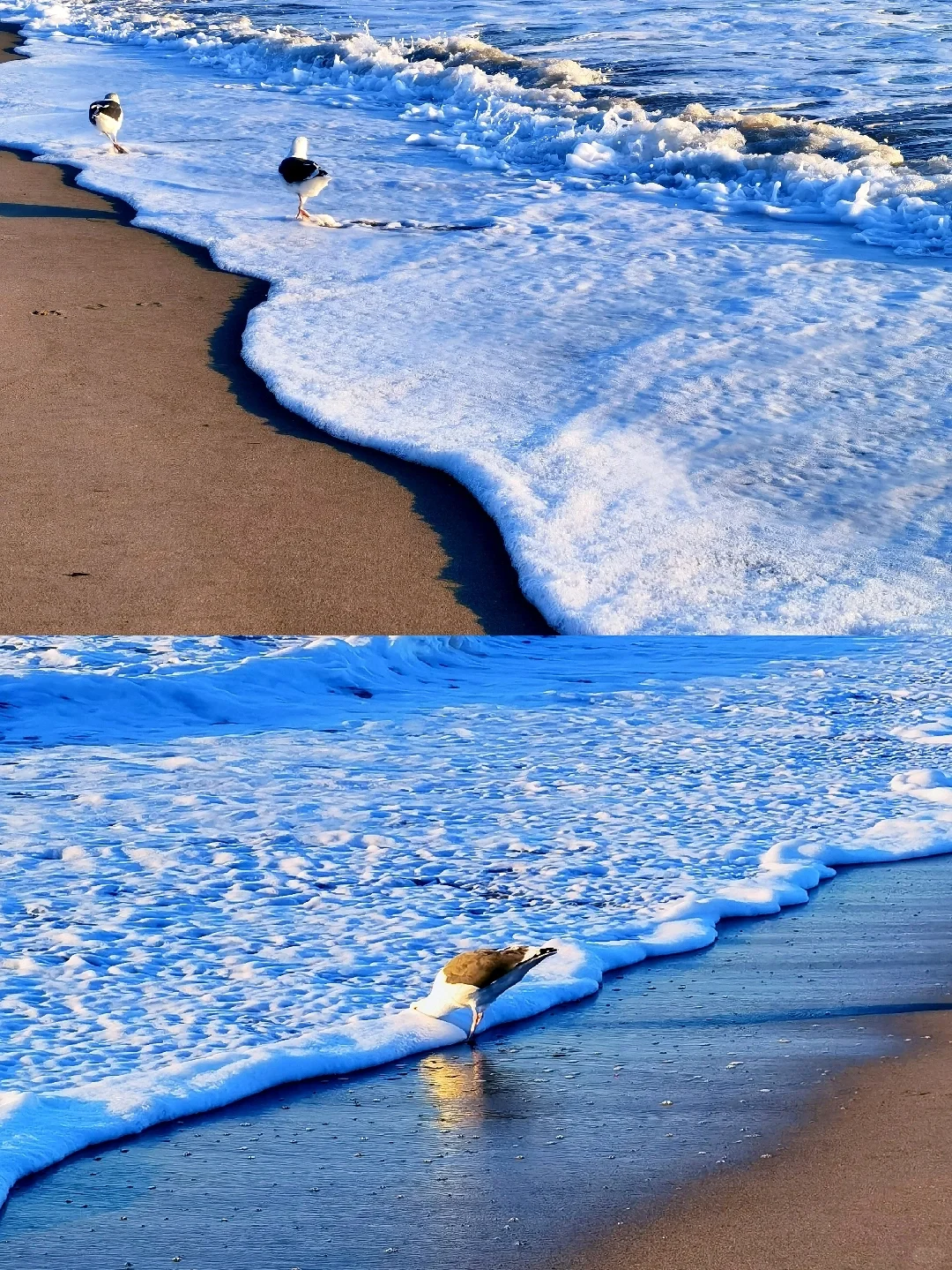 Santa Monica 🌅 | A Day of Exploring, Eating, and Sunset Viewing Guide