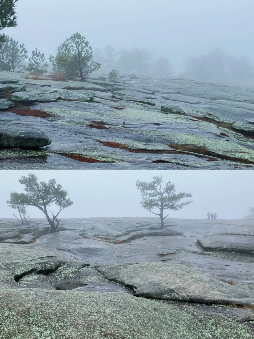 Climbing Stone Mountain in the Chilly Mist of Georgia 🌫️🪨