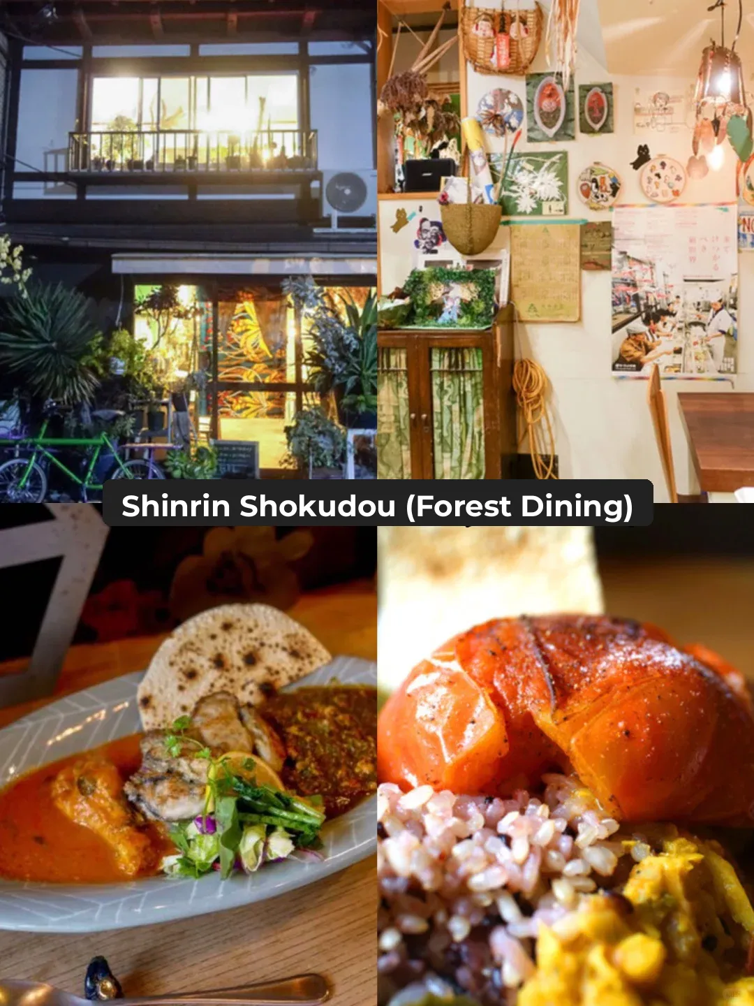 Top 11 Must-Try Restaurants in Kyoto! 🔥🔥🔥