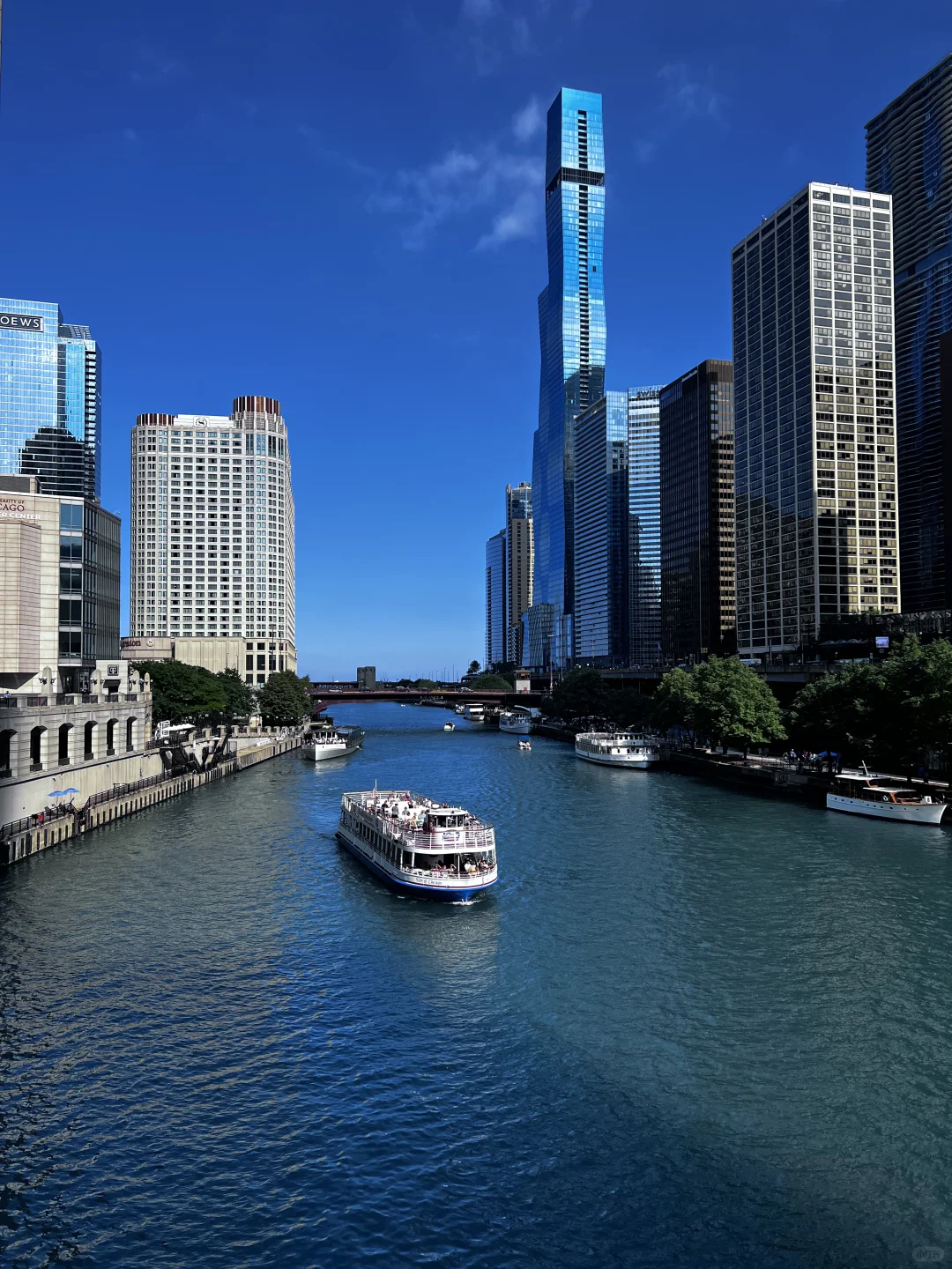 Looking for a Chicago Food, Fun, and Adventure Buddy – Open Long-Term!