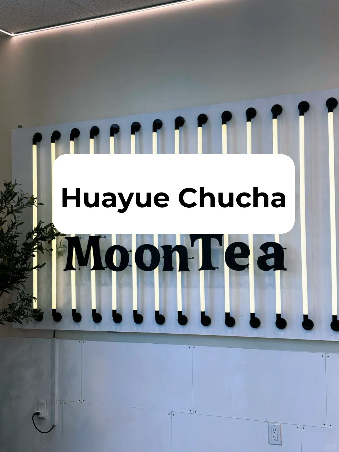 Traditional Chinese-style milk tea is absolutely killing it! I'm calling it the ultimate in Bay Area milk tea!