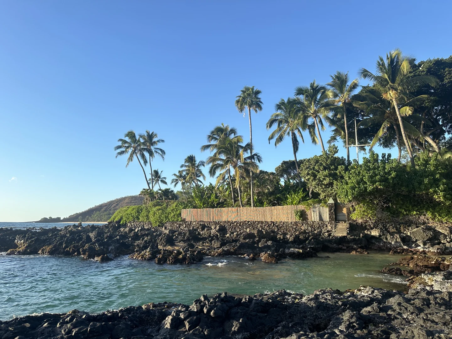 Freedom to Forage for Seafood in Maui's Hidden Gems