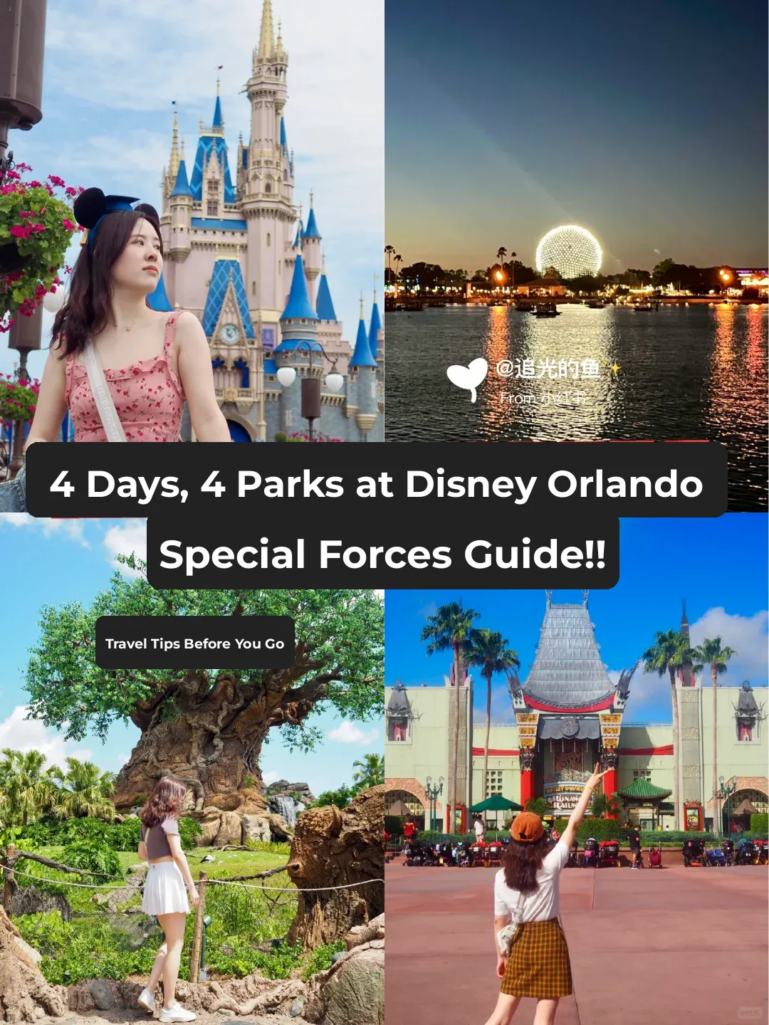 After Orlando, I Don’t Want to Visit Any Other Disney Parks🏰 [Part 1]