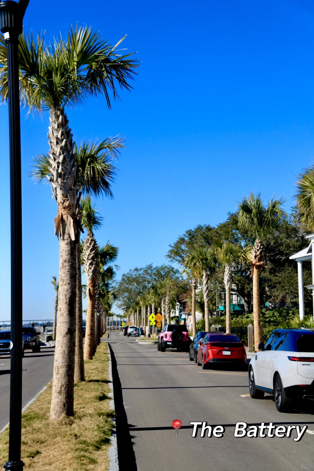 South Carolina🎞️｜Charleston Must-Visit Spots Collection📸
