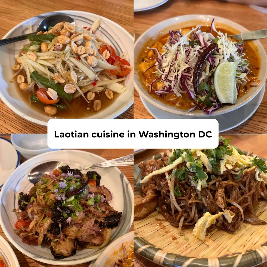 DC Washington | 🇱🇦 Lao Cuisine at Thip Khao