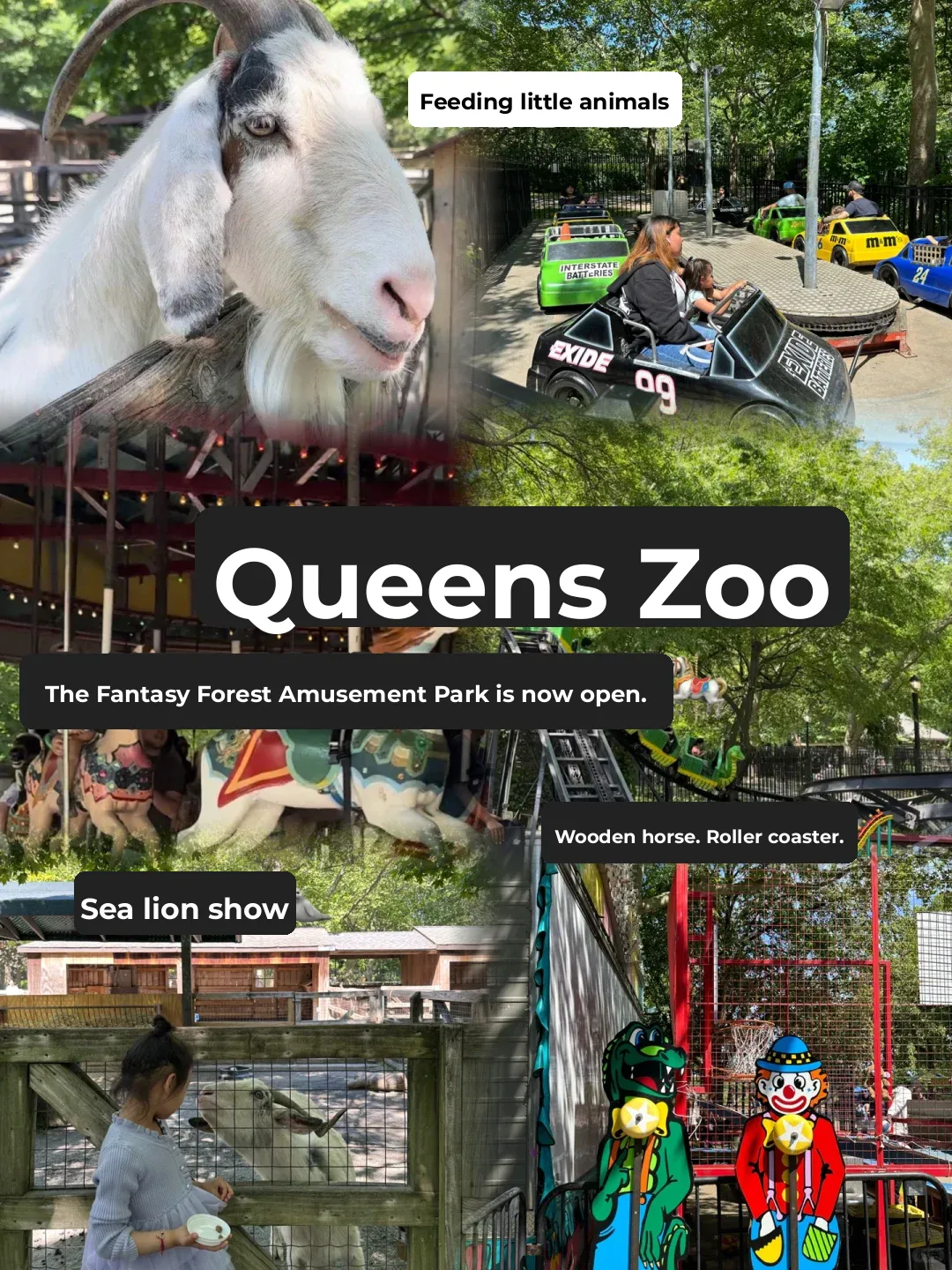 Flushing's Enchanted Forest Playground is Now Open – Perfect Weekend Getaway!