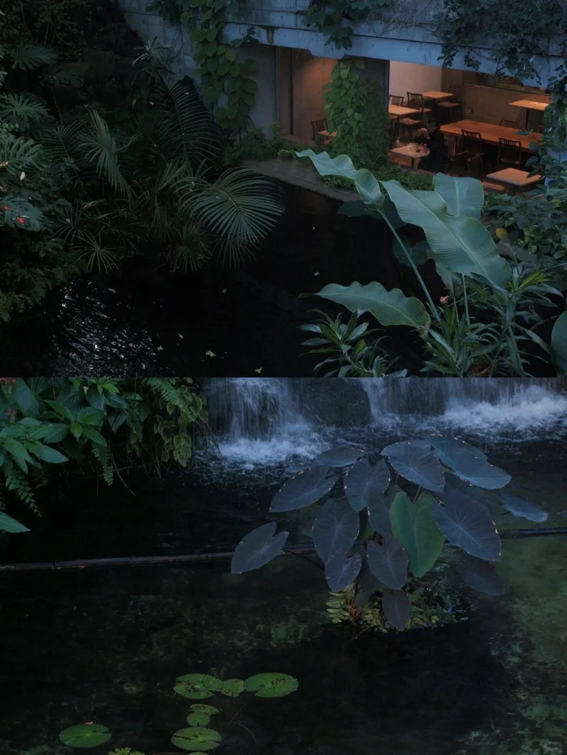 Dreaming of Marrying the Botanical Garden | Tokyo's Yumenoshima Park