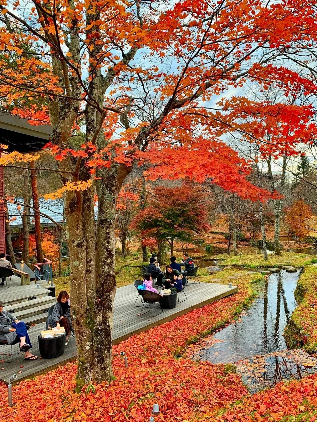 Karuizawa | The Hottest Autumn Leaf Spot Near Tokyo This Year