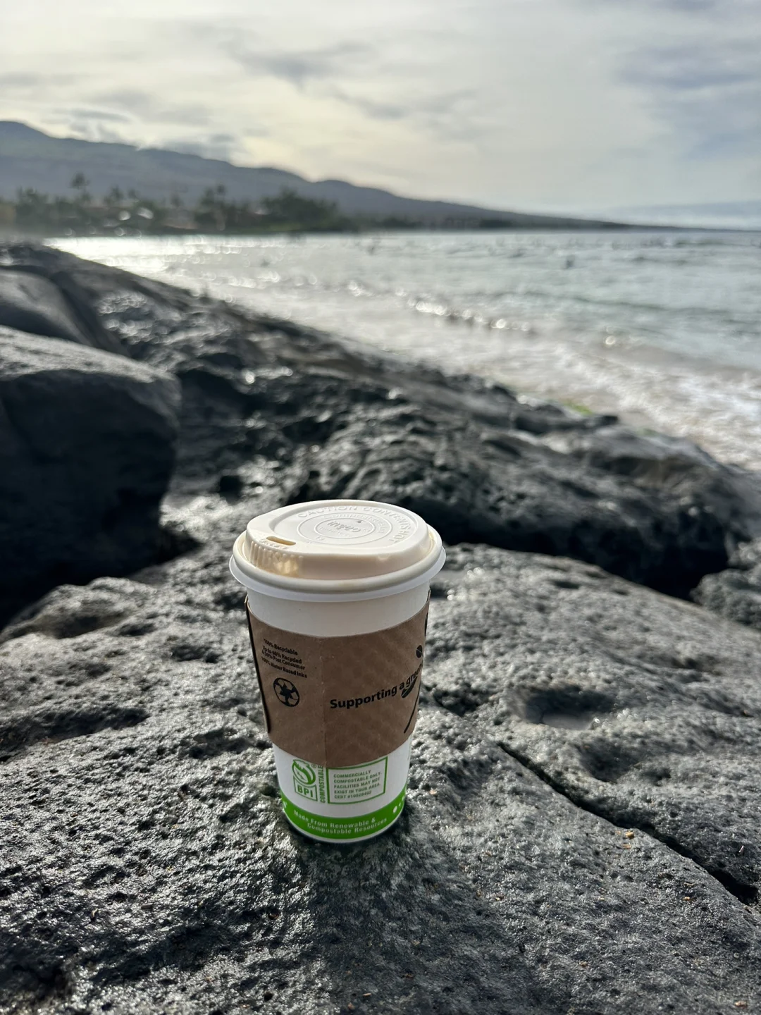 Hawaii's Maui Island Coffee: A Shop Even SpongeBob Would Love to Visit