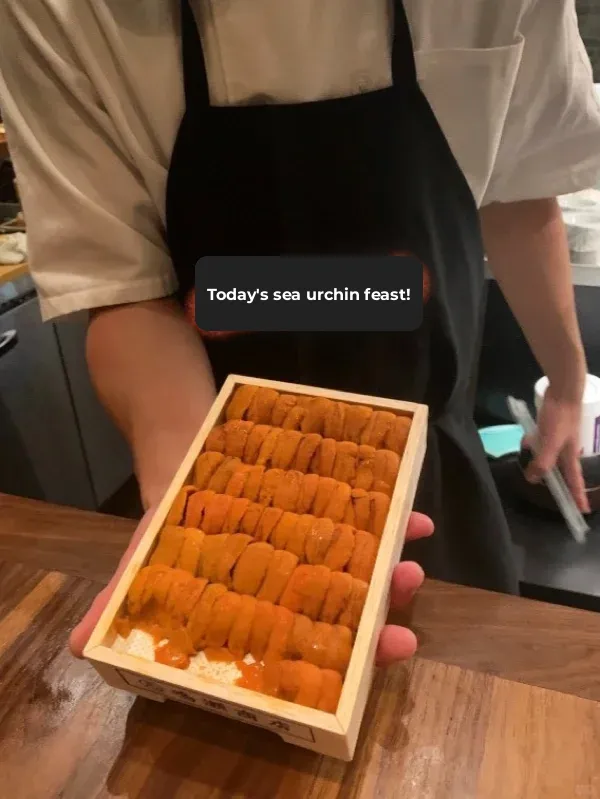 Houston's Best Japanese Cuisine: The Ultimate Bluefin Tuna, Uni, and Wagyu Experience