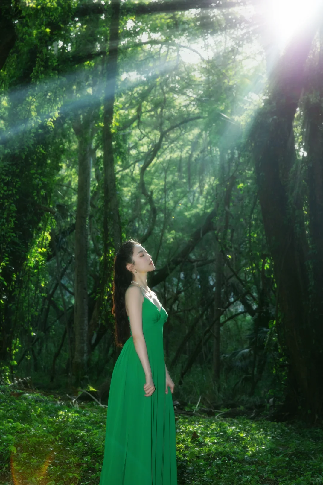 🌴Honolua Bay, Maui｜Escaping into the Forest in Search of Sunshine