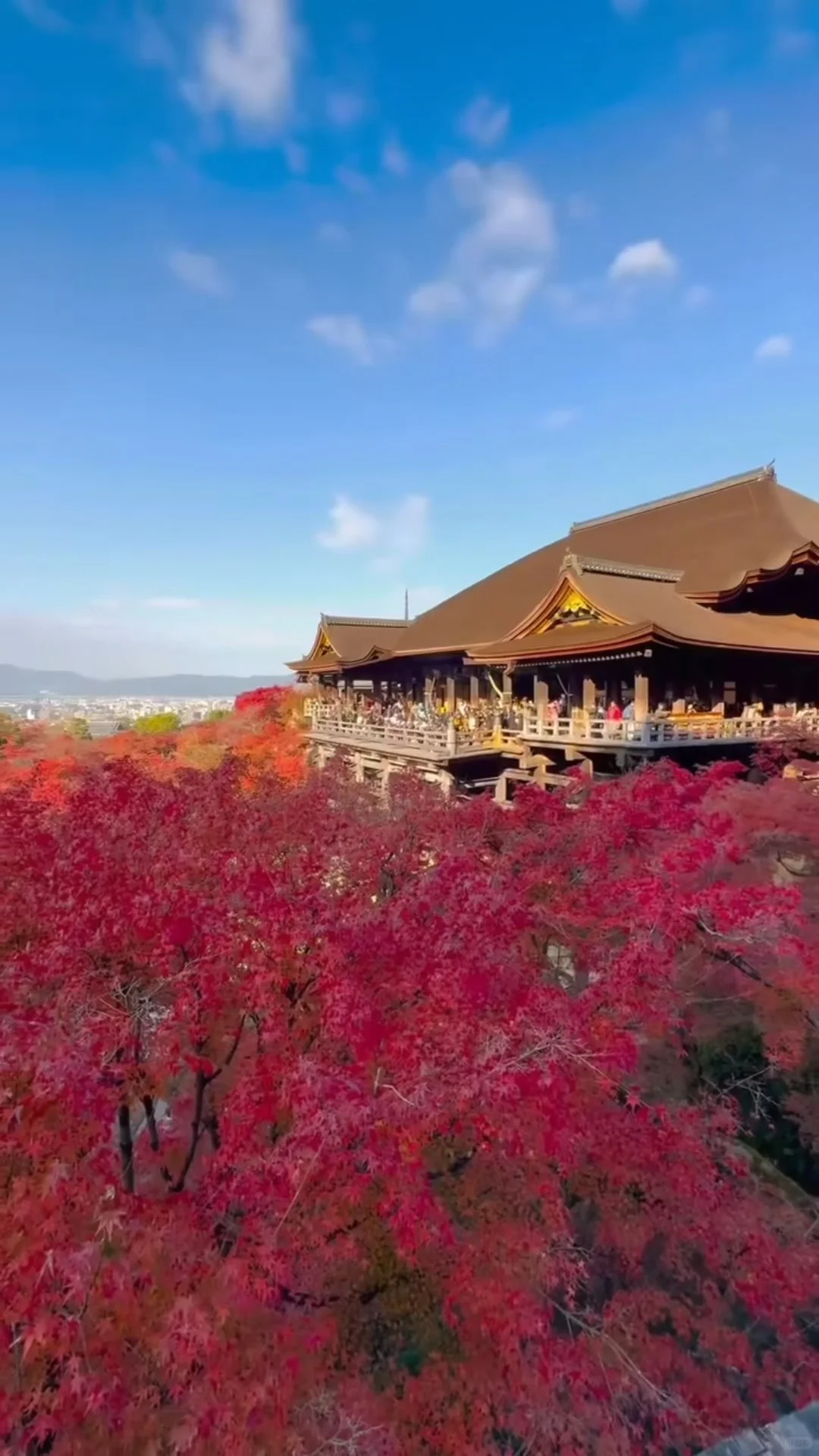 6-Day Kansai Fall Foliage Itinerary 🍁 Tried and Tested by Countless Travelers