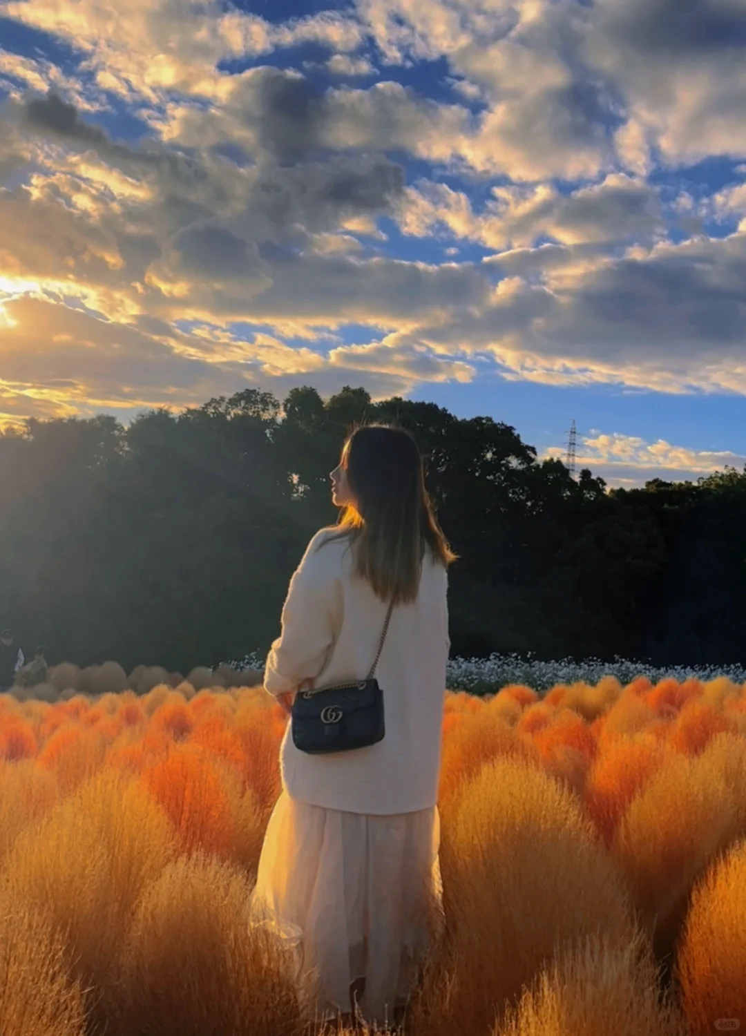 Osaka | The "Autumn Exclusive" at Expo Park