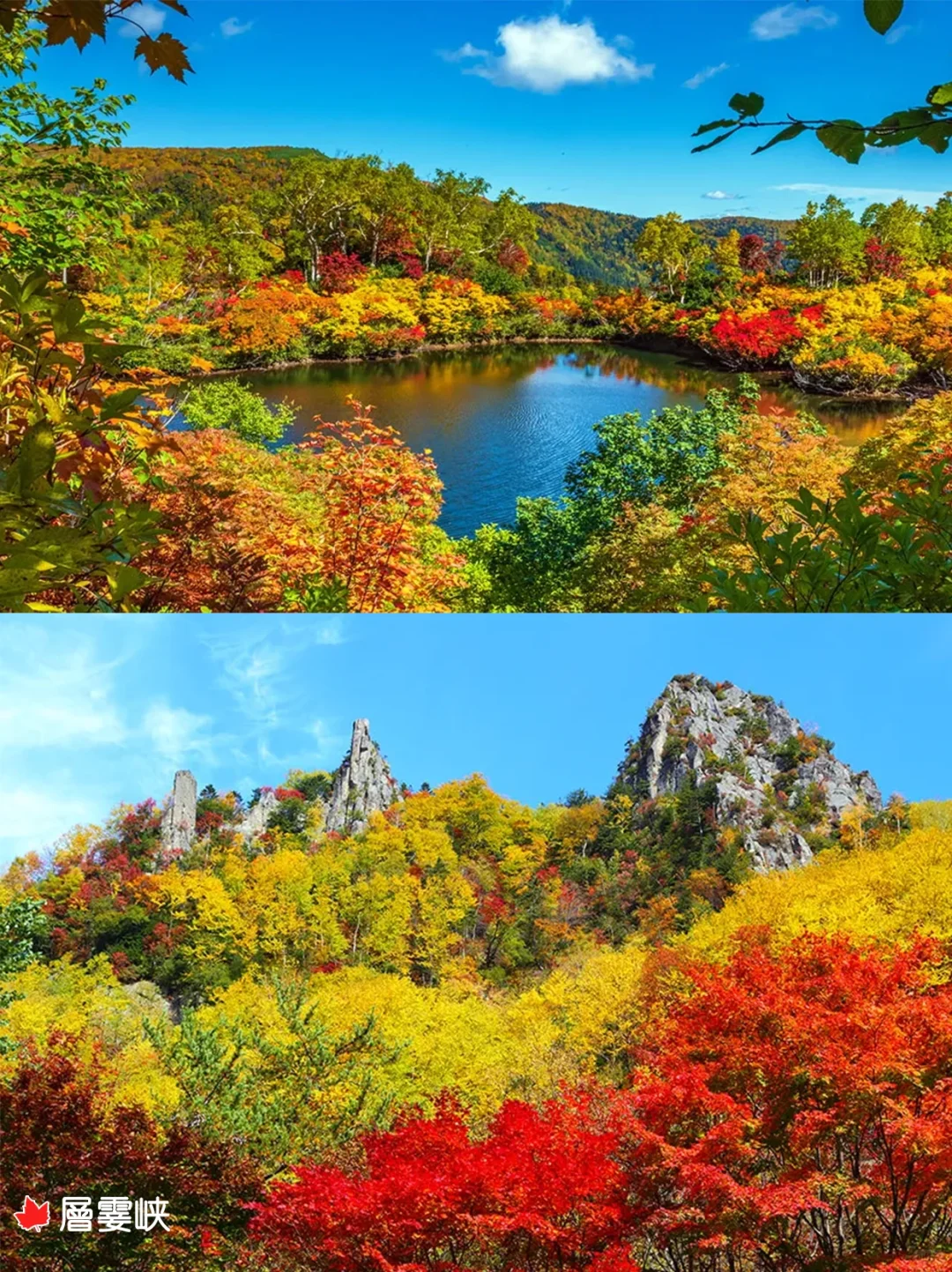 Autumn Foliage Guide 🍁 Japan's Fall Colors Forecast 🈶