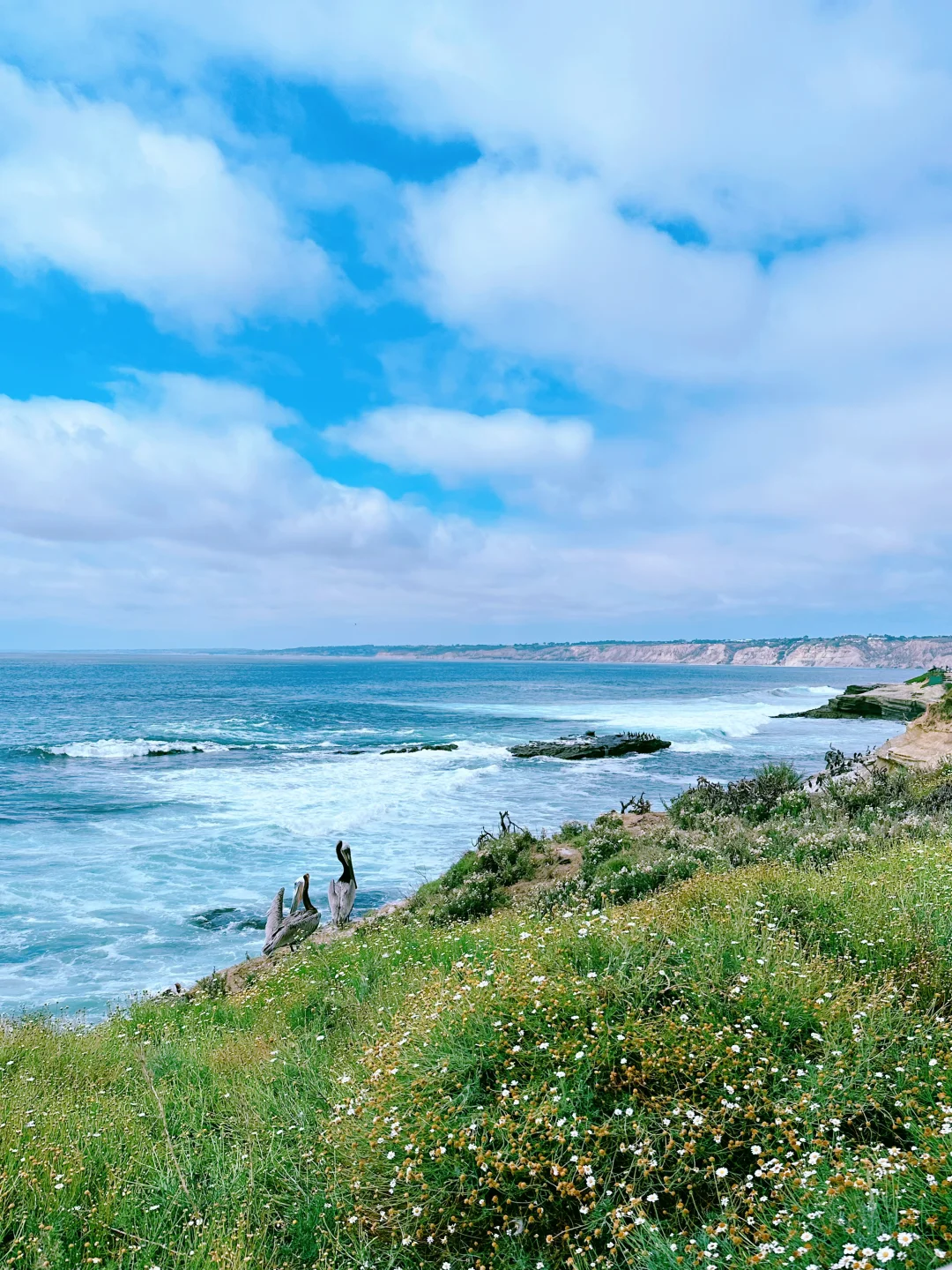 San Diego Travel Guide: The Ultimate Hassle-Free Post