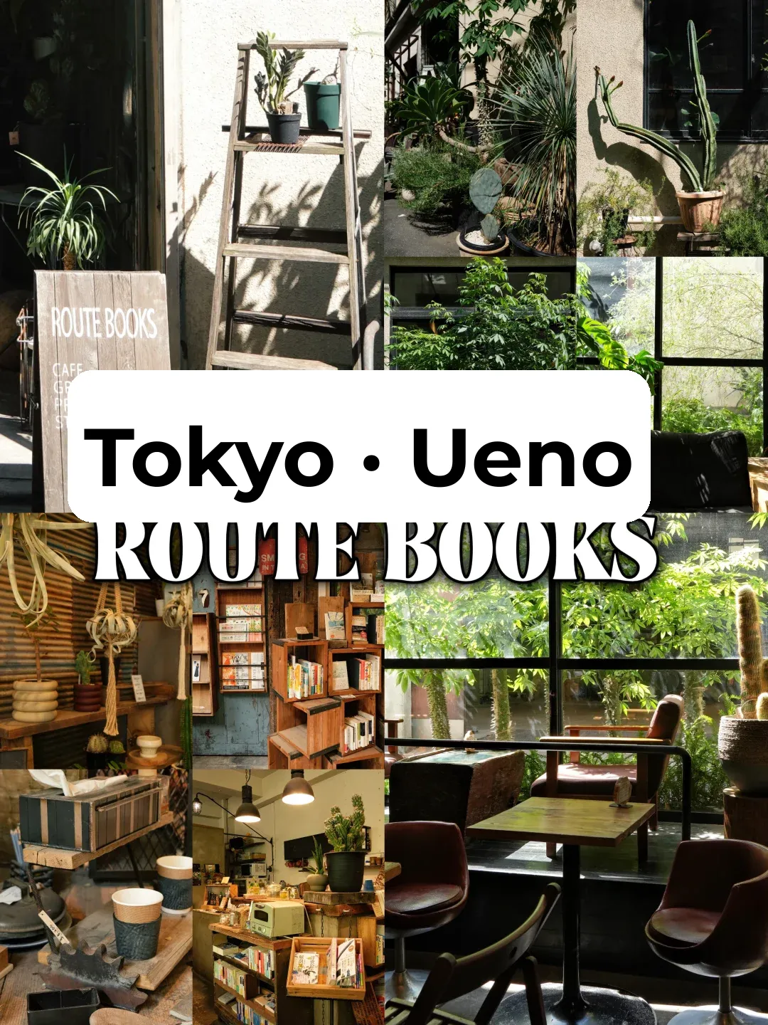 Mind-blowing‼️ The Coffee Shops in Tokyo's Ueno Are Way Ahead of Their Time