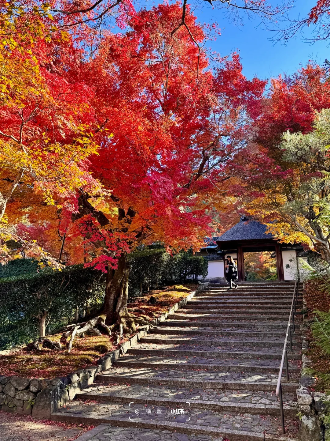 🇯🇵 Kyoto November Maple Season One-Day Trip ❺ Higashiyama District