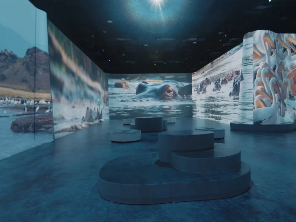 Illuminarium Atlanta: An Innovative Immersive Experience Space