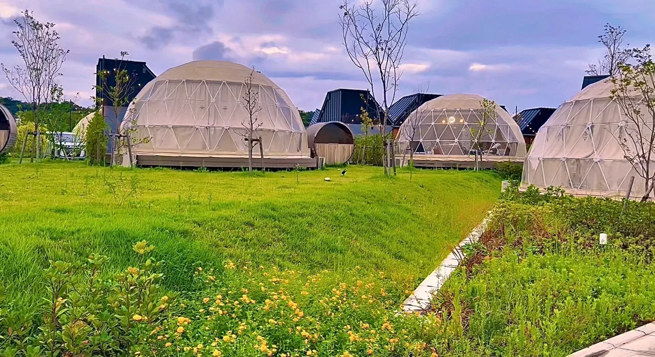 Tokyo Camping🏕️ | BBQ Bonanza | Weekend Chill Vibes