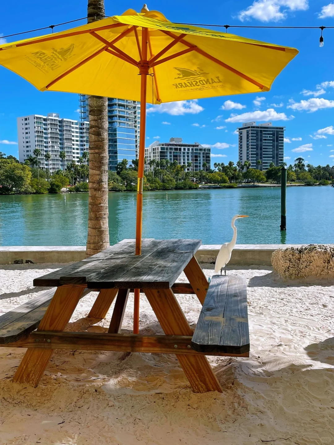 Christmas🎄Relaxing Getaway in Tampa