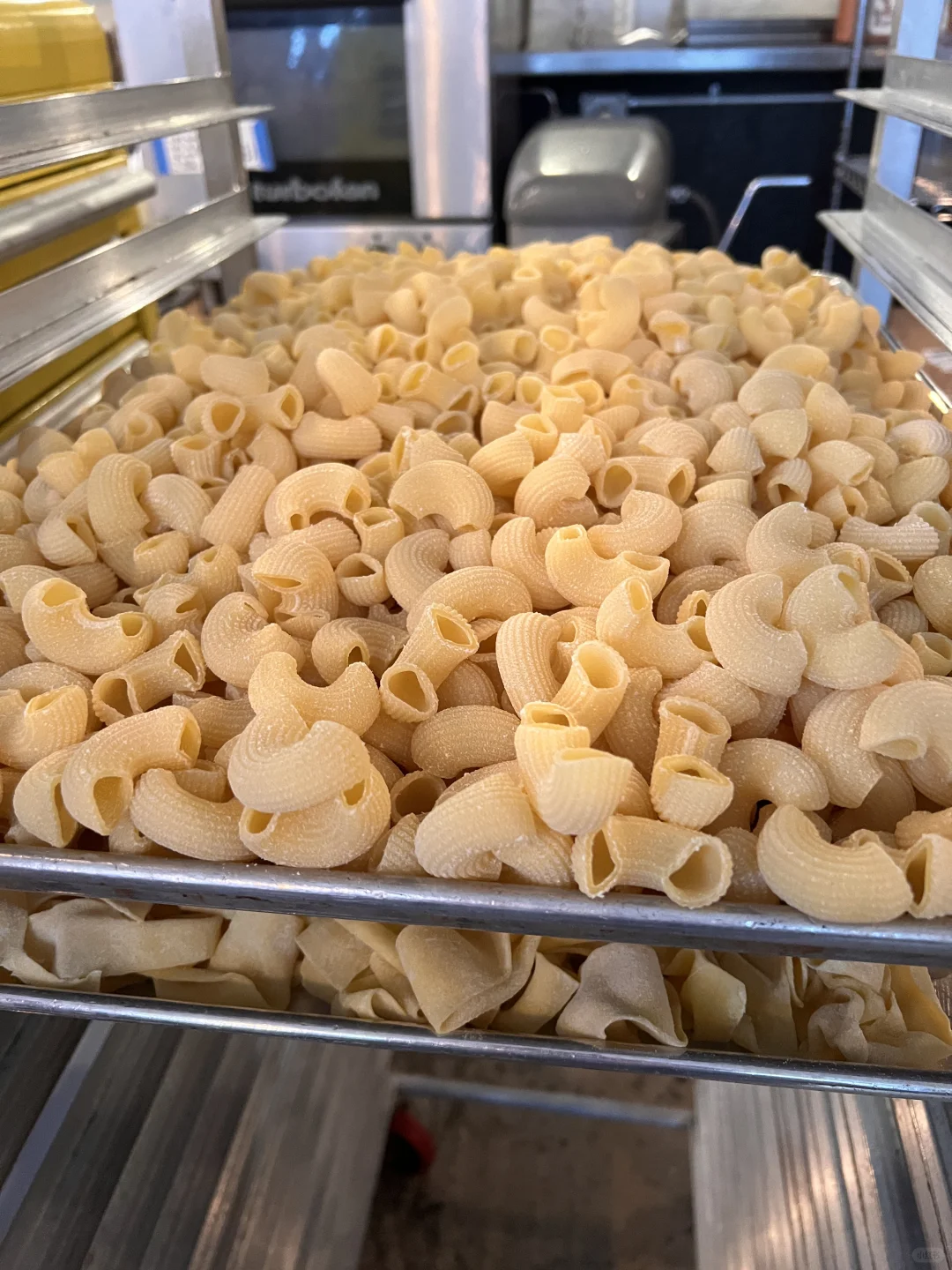 Tasting the Best Handmade Pasta of My Life in Portland, USA