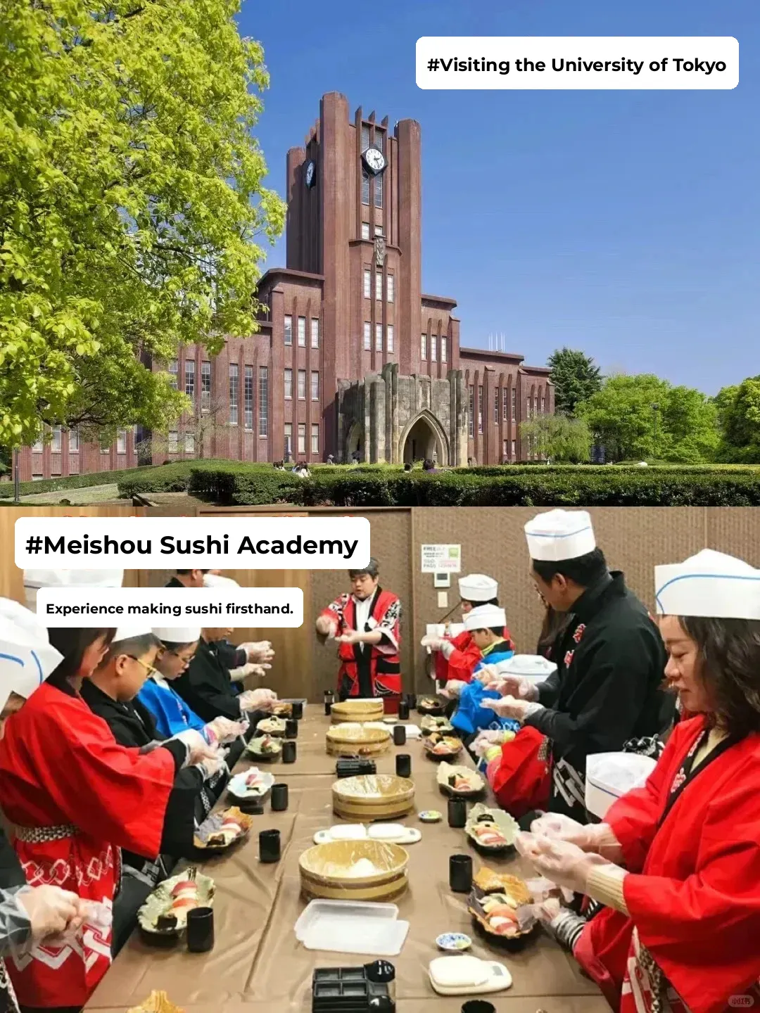 First Time Taking the Kid to Japan‼️ This Itinerary Won't Lead You Wrong