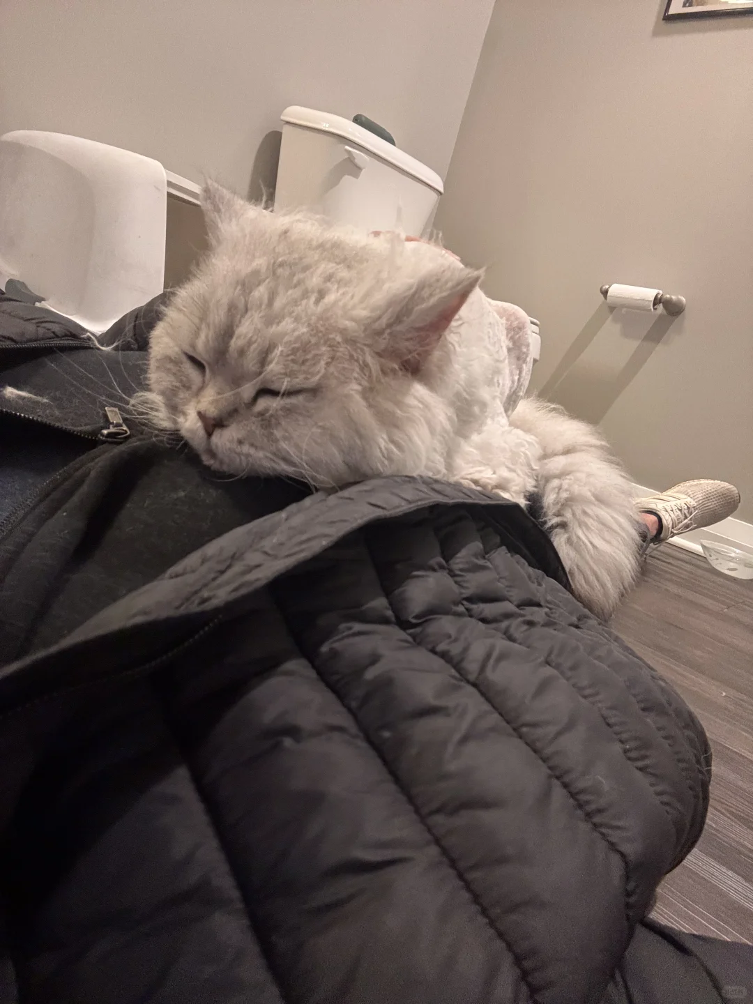 Chinese Food and Coffee in Columbus, Ohio