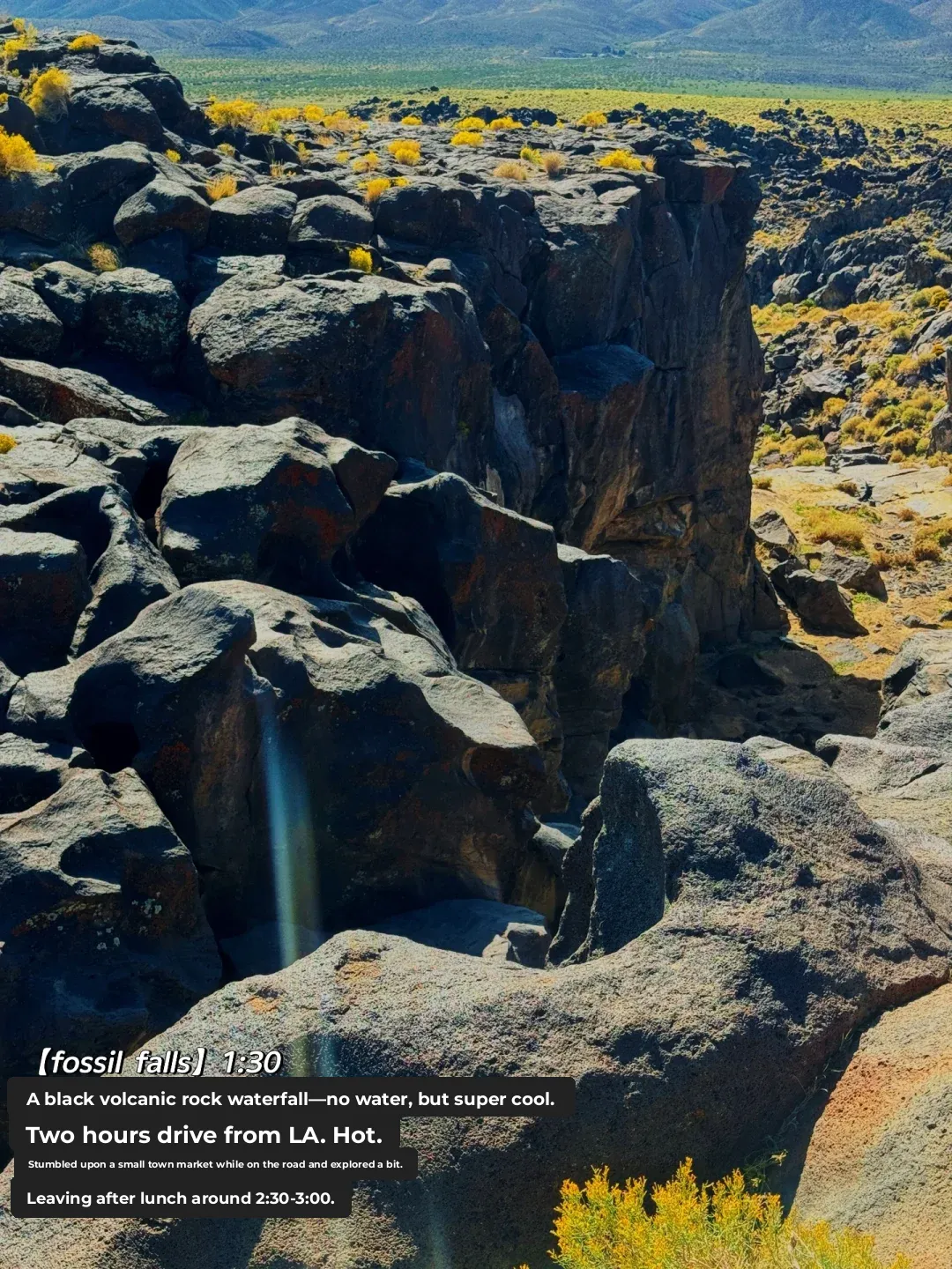 🍂Highway 395 | 10/8 Departing from LA | More Than Just a Fall Foliage Report 🍁