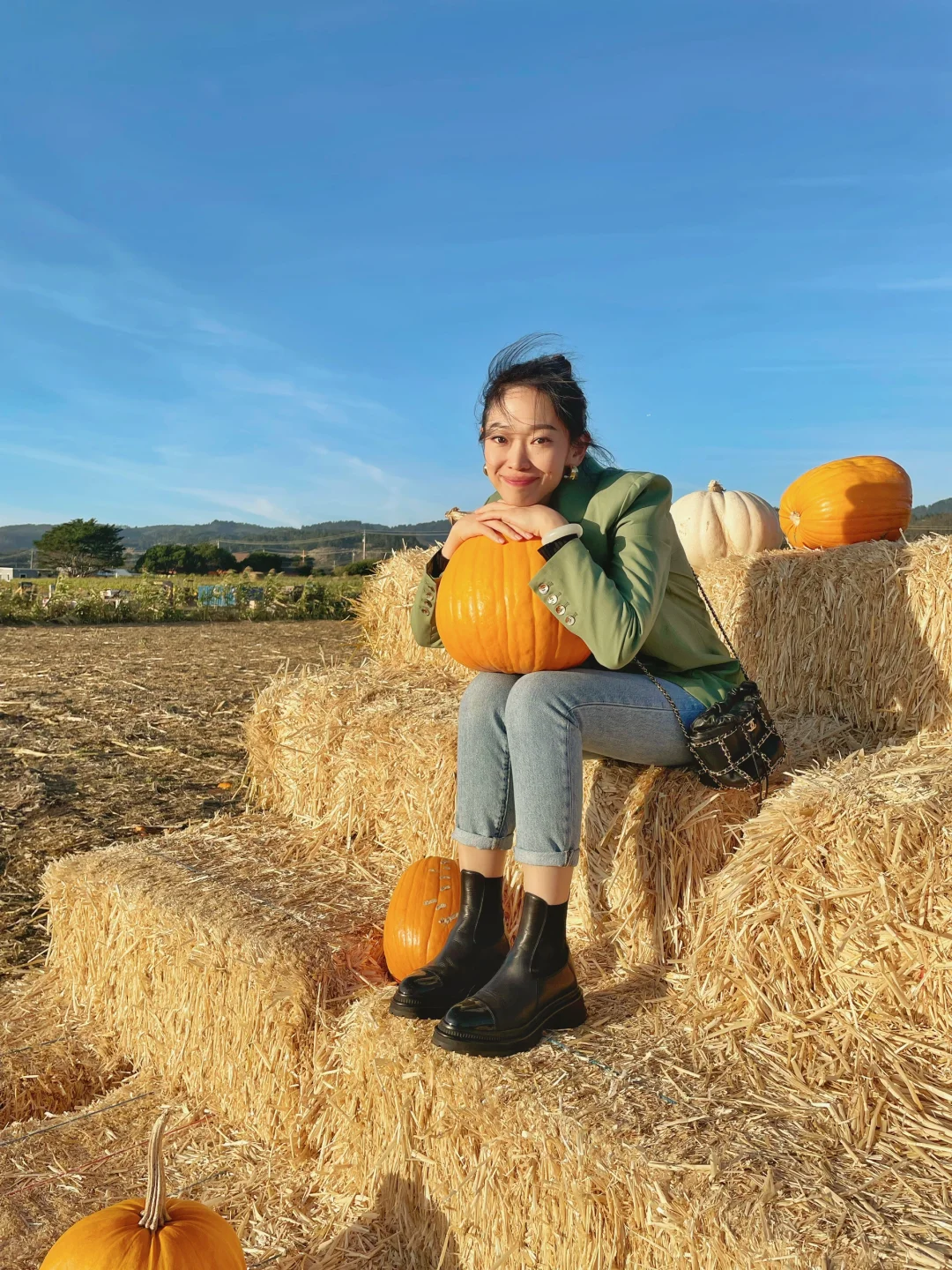 Bay Area Weekend Getaway: Sunflower Fields at the Pumpkin Patch