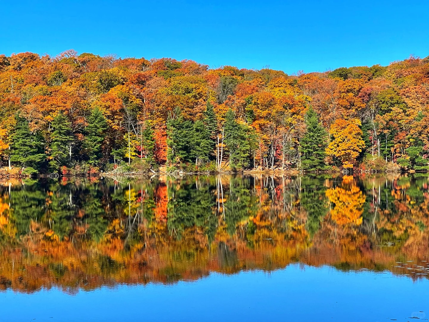 The Ultimate State Park Near NYC, Hands Down