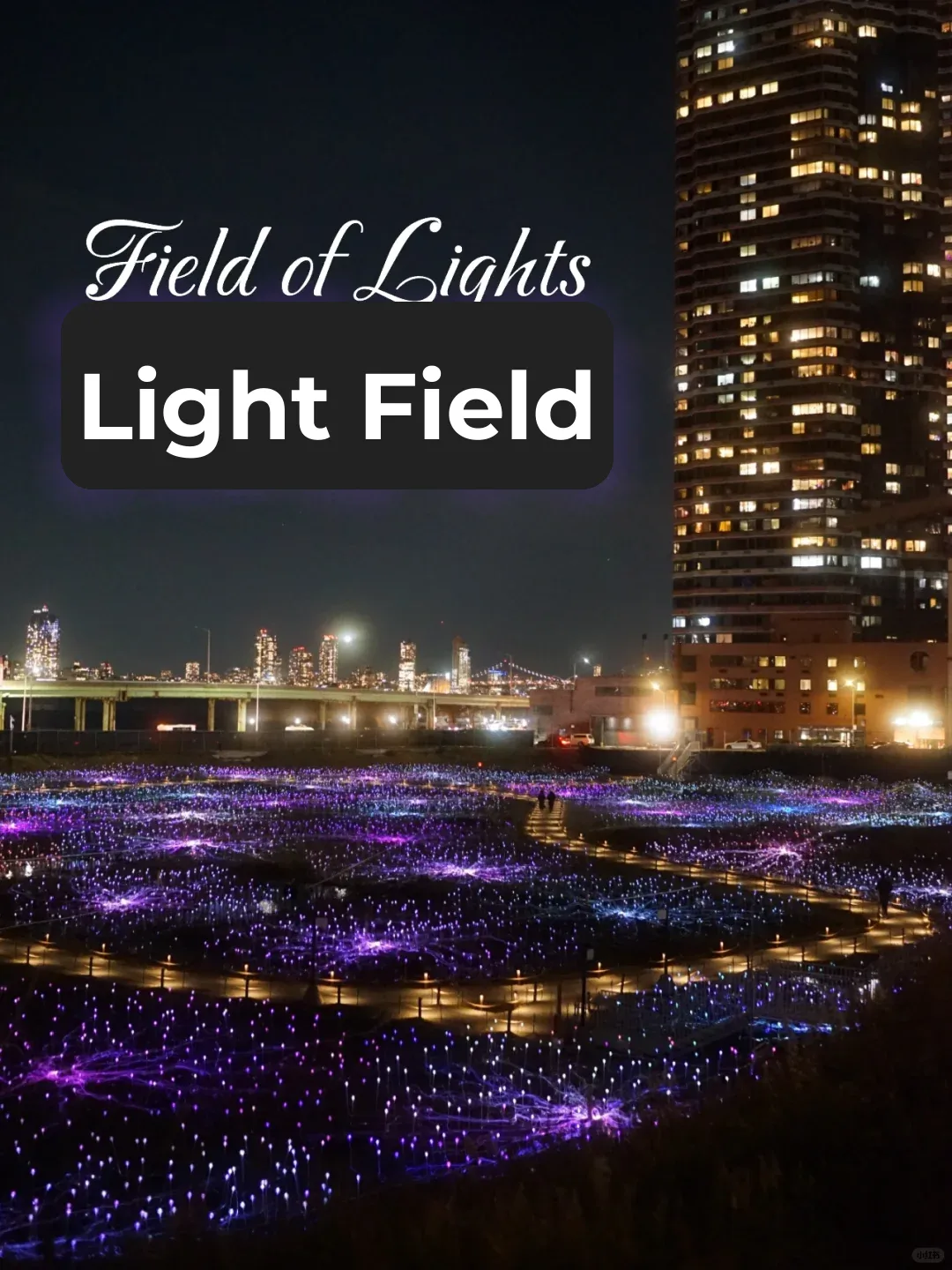 Free Admission Light Show｜Field of Lights