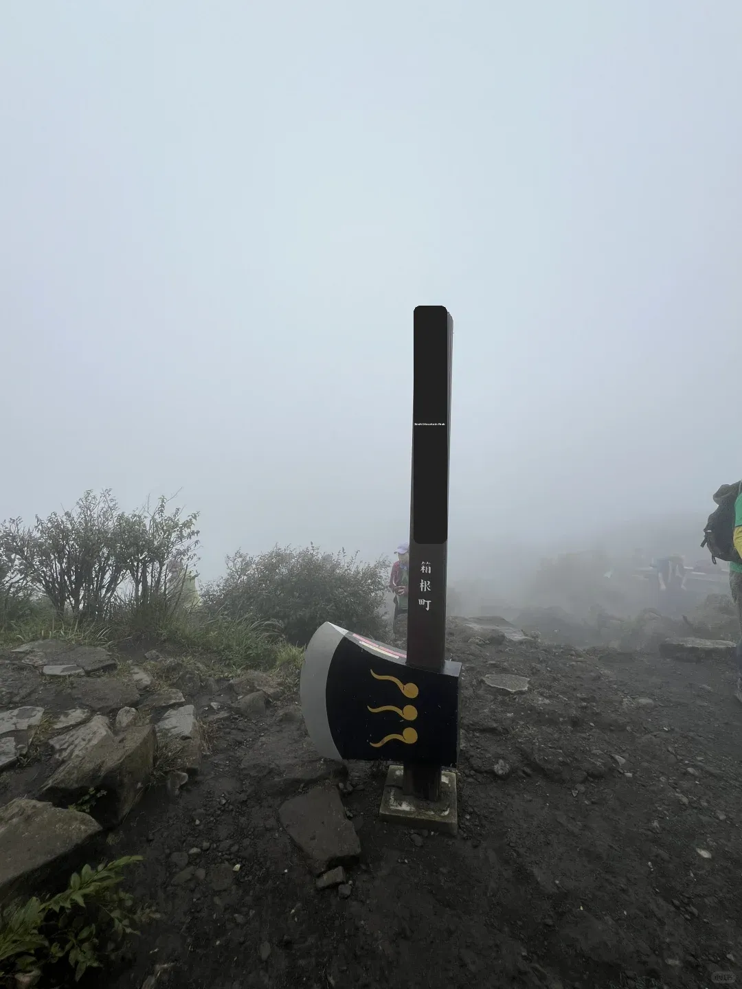 Report: Just Back from Mount Kim