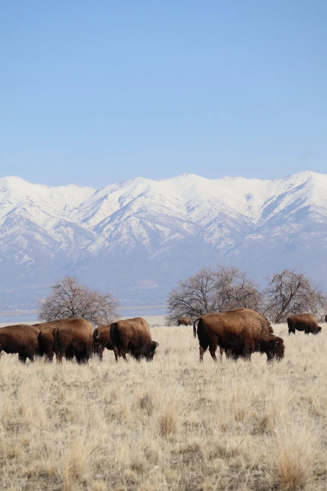 One-Day Trip to Salt Lake City