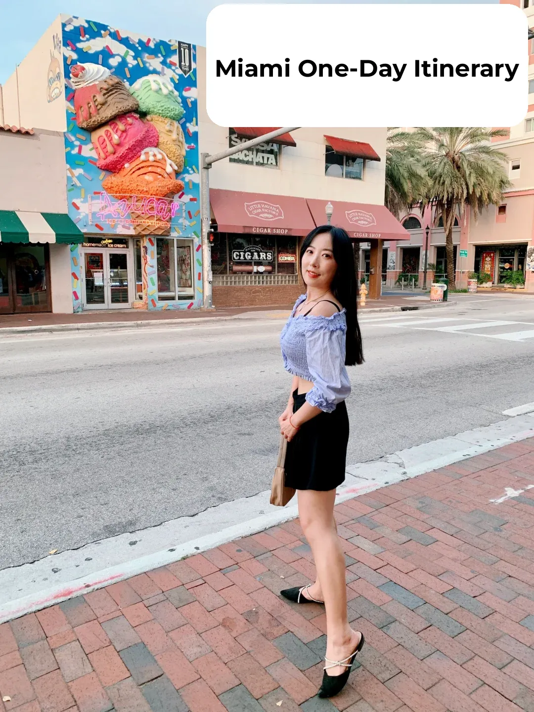 🐊 Miami Day Trip Diary 🐊