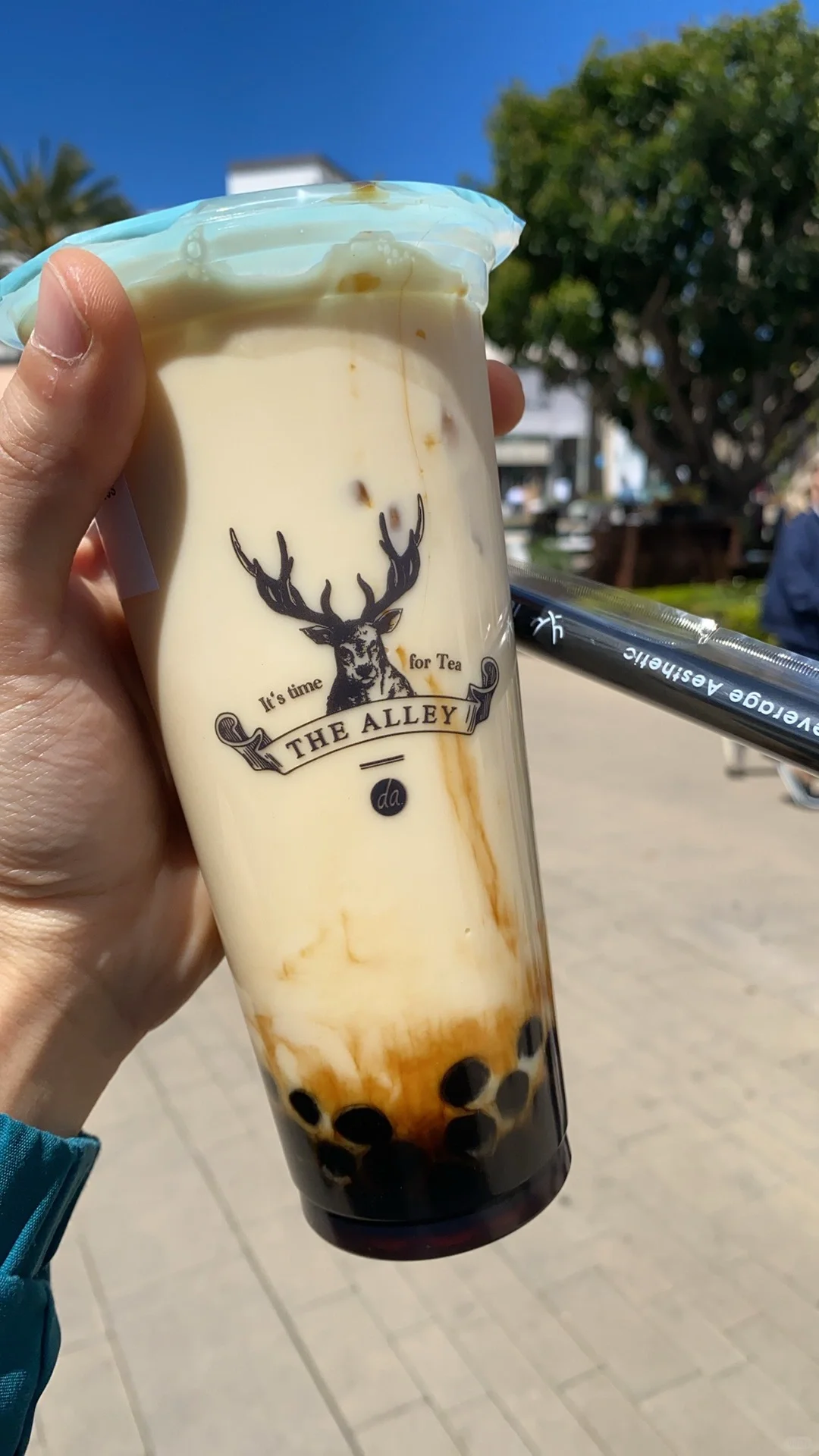 San Diego | UTC's The Alley Bubble Tea Review & Visit 🦌