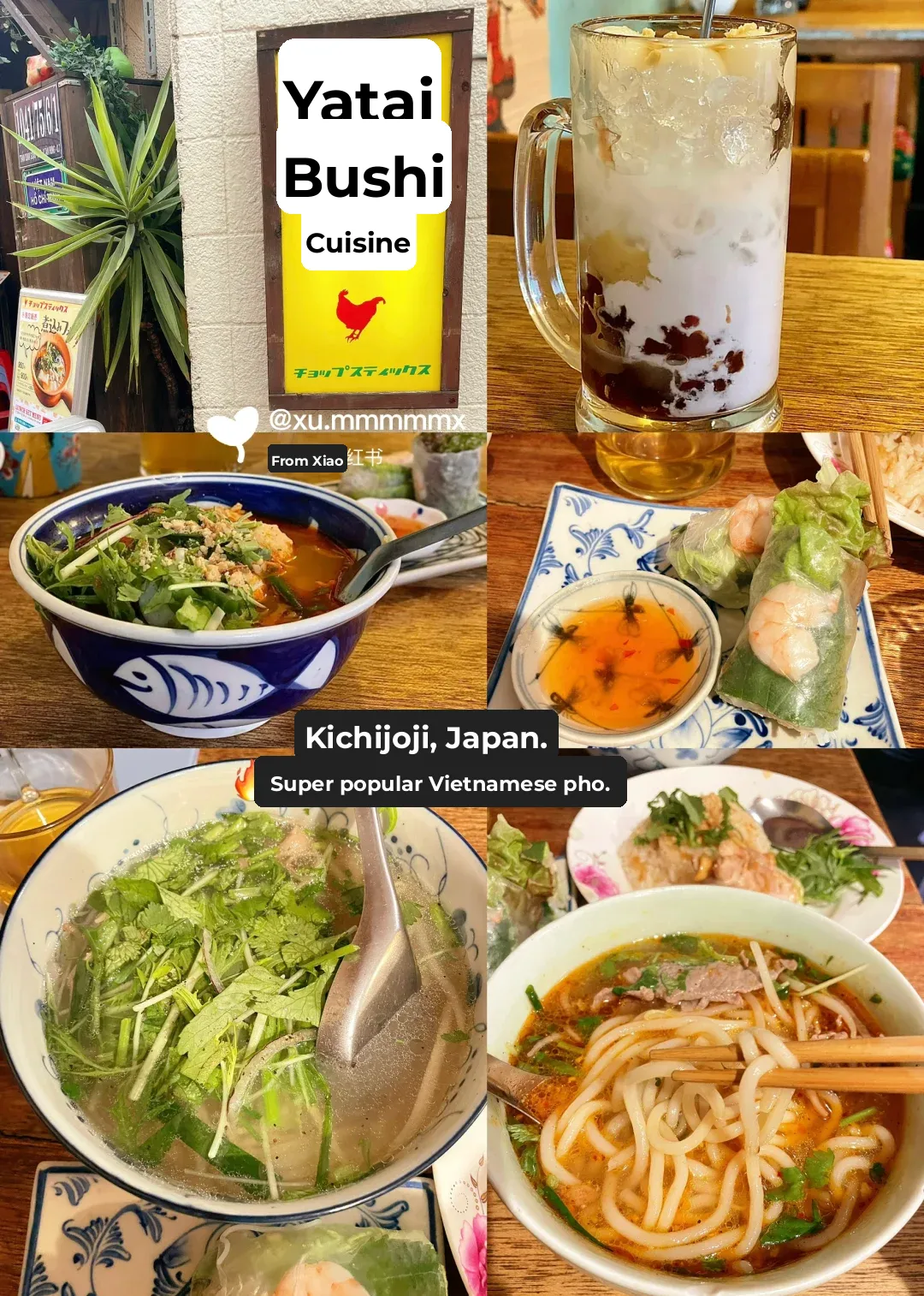 🇯🇵 Japan | 🇻🇳 Vietnam 🦀 Crab Noodle Soup 🍜 Tangy & Spicy 👍