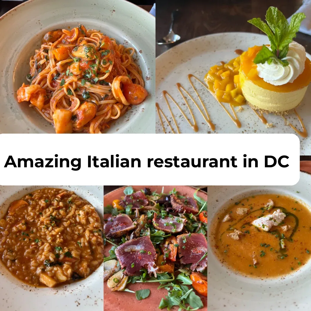 Recommended Italian Restaurant in Washington DC 🇮🇹 San Lorenzo