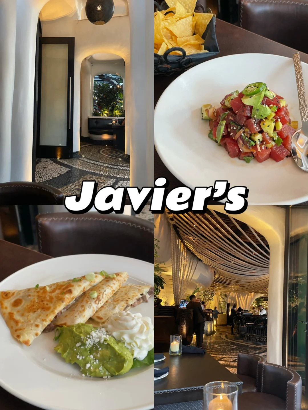 La Jolla | How Can You Visit San Diego Without Trying Mexican Food? 🇲🇽