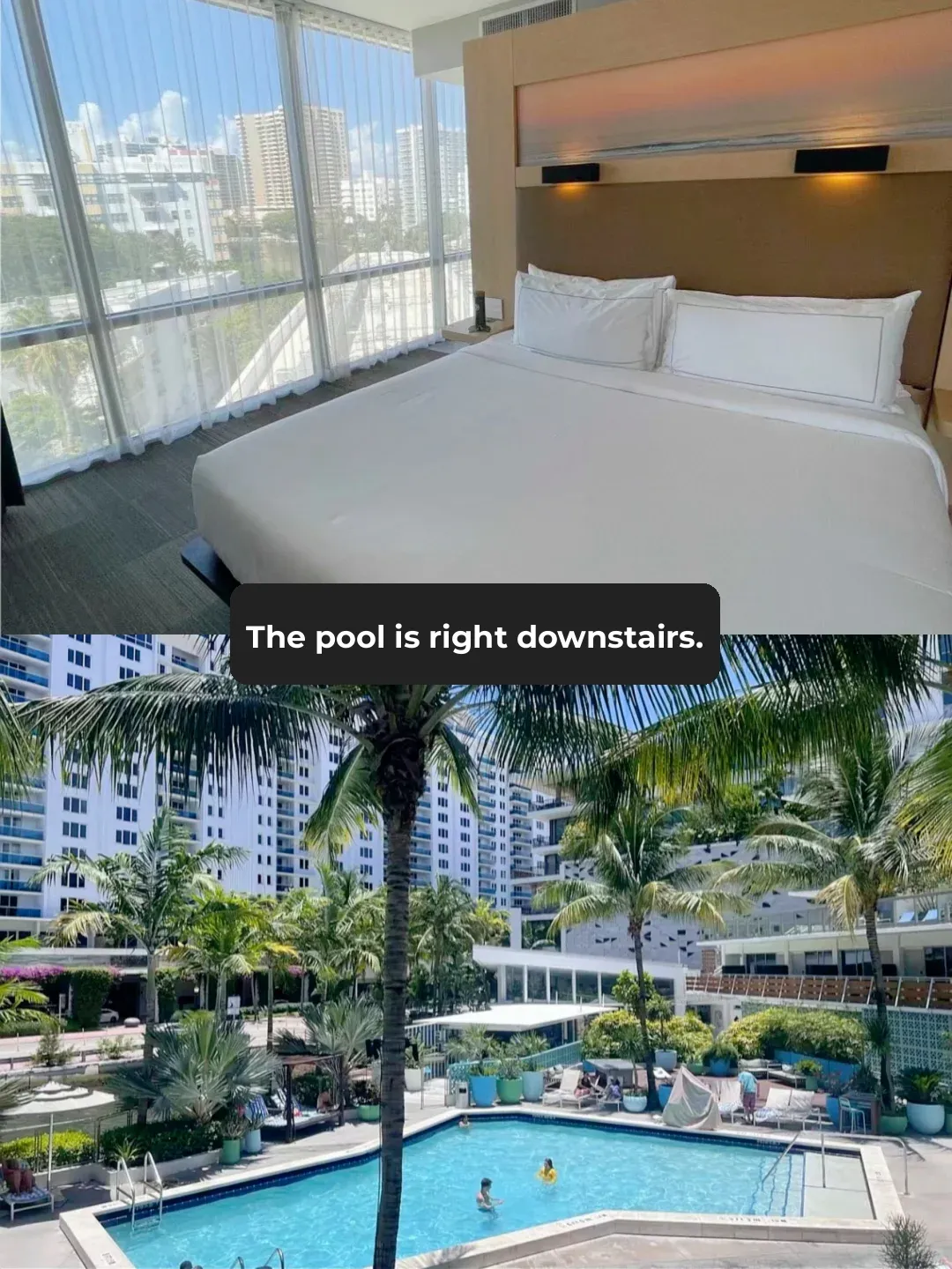 Miami | Finally Snagged That Ultra-Affordable Poolside Hotel