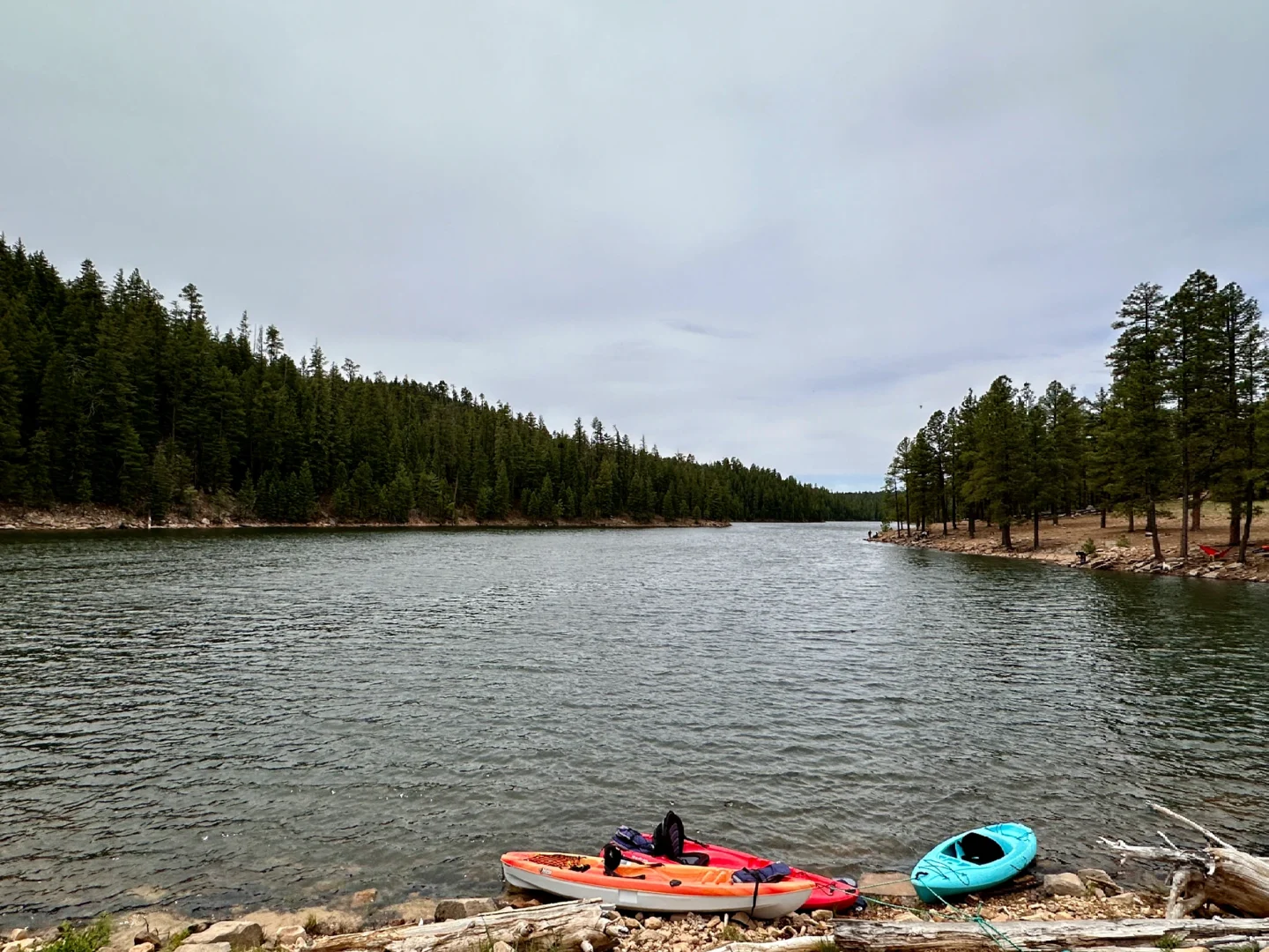 Arizona - Where to Go This Summer: Knoll and Bear Canyon Lake