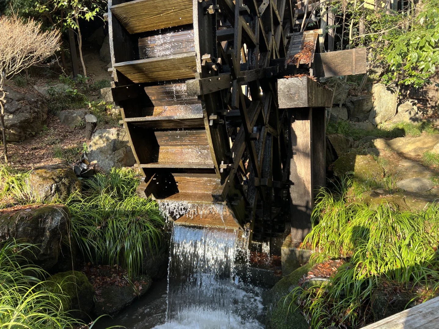 🇯🇵 Tokyo Eats | 300-Year-Old Traditional House