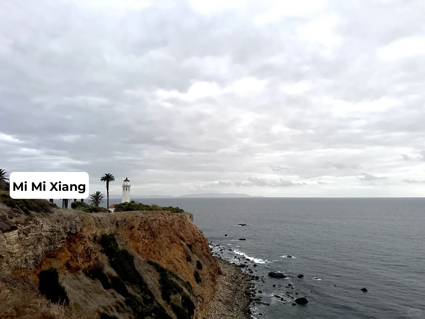 Whale Watching Cliffs in Los Angeles: A Chance Encounter with Owls and Coyotes